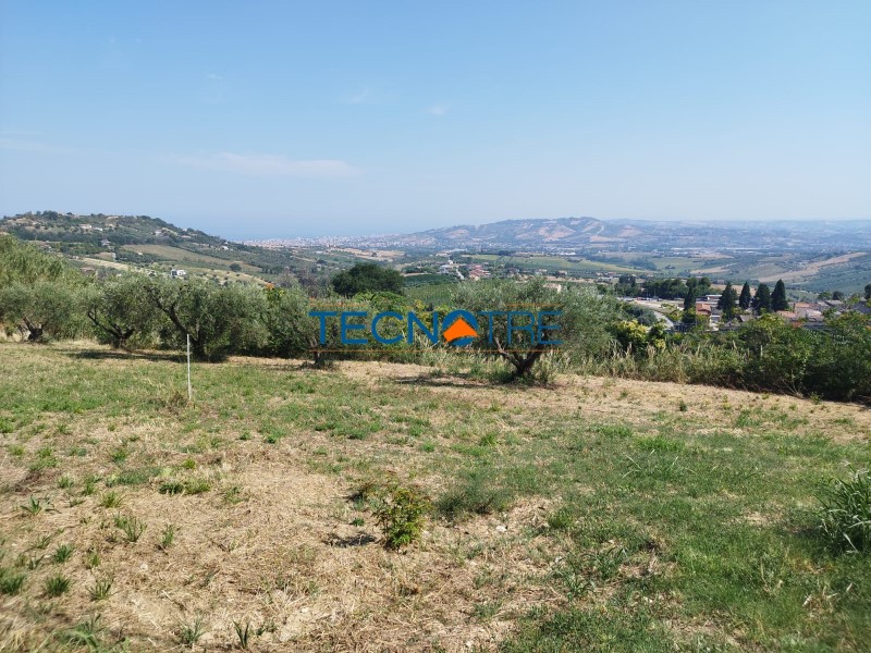 Dettaglio 5: Colonnella Terreno Edificabile VISTA MARE e MONTI con Progetto Approvato