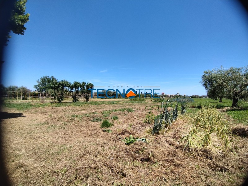 Dettagli: Martinsicuro Terreno Edificabile e Agricolo