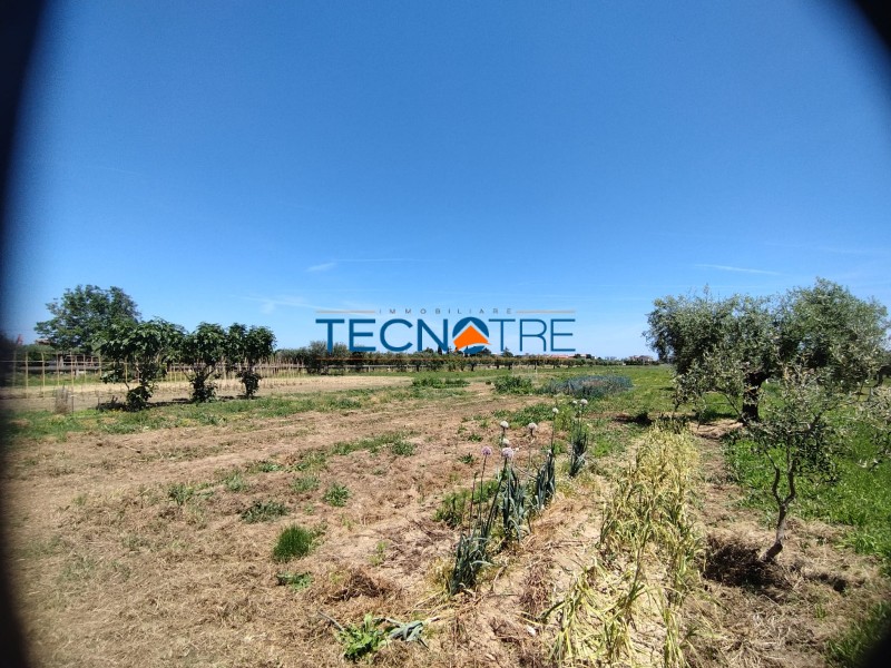 Dettagli: Martinsicuro Terreno Edificabile e Agricolo