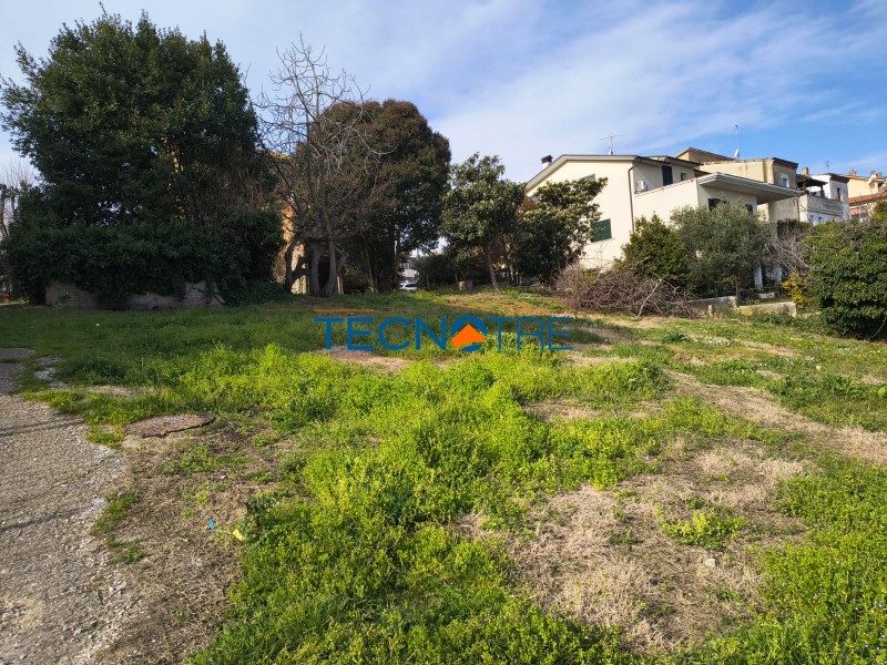 Dettaglio 4: Colonnella Zona Centro Casa Singola con Terreno Edificabile