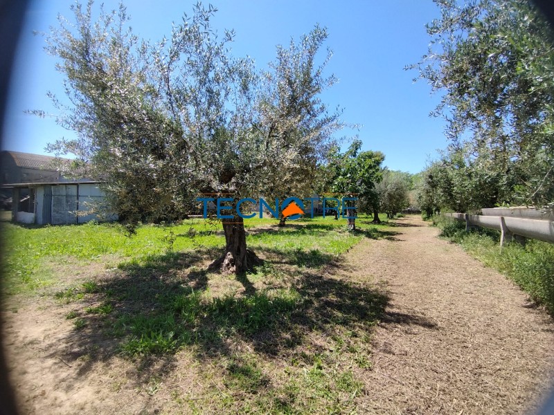 Dettaglio 8: Martinsicuro Terreno Edificabile e Agricolo