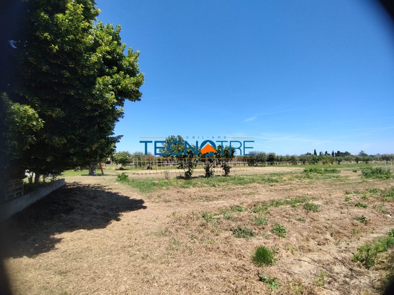 Dettaglio 6: Martinsicuro Terreno Edificabile e Agricolo