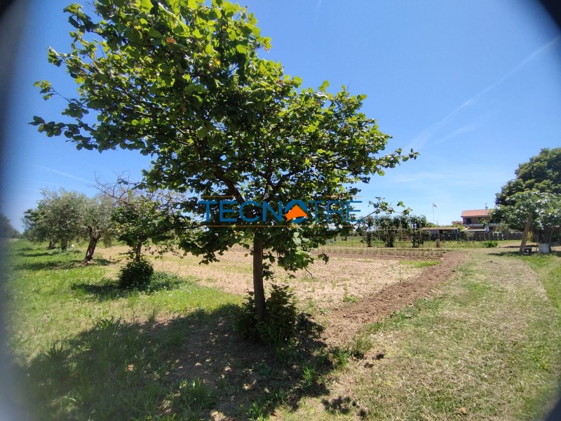 Dettaglio 7: Martinsicuro Terreno Edificabile e Agricolo