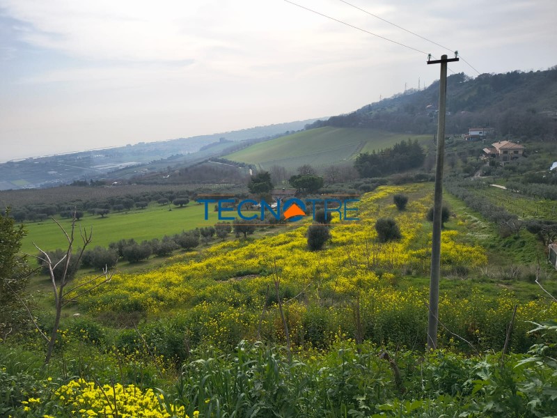 Dettagli: Colonnella Zona Civita Terreno Agricolo