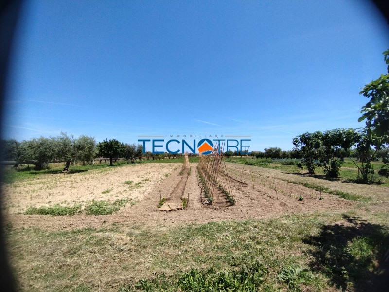 Dettagli: Martinsicuro Terreno Edificabile e Agricolo