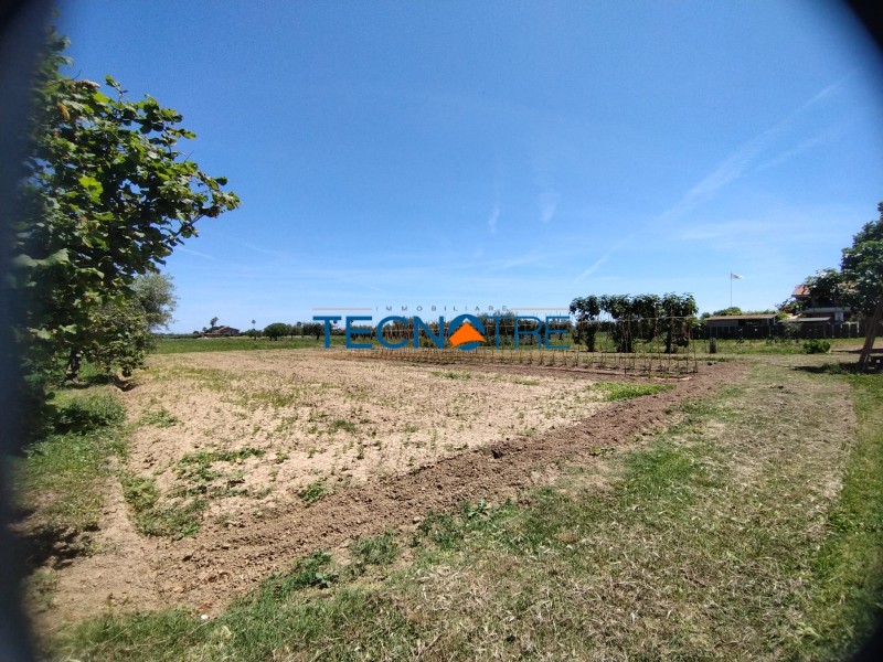 Dettaglio 5: Martinsicuro Terreno Edificabile e Agricolo