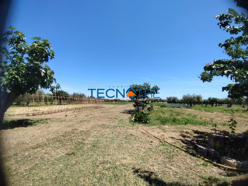 Dettaglio 4: Martinsicuro Terreno Edificabile e Agricolo