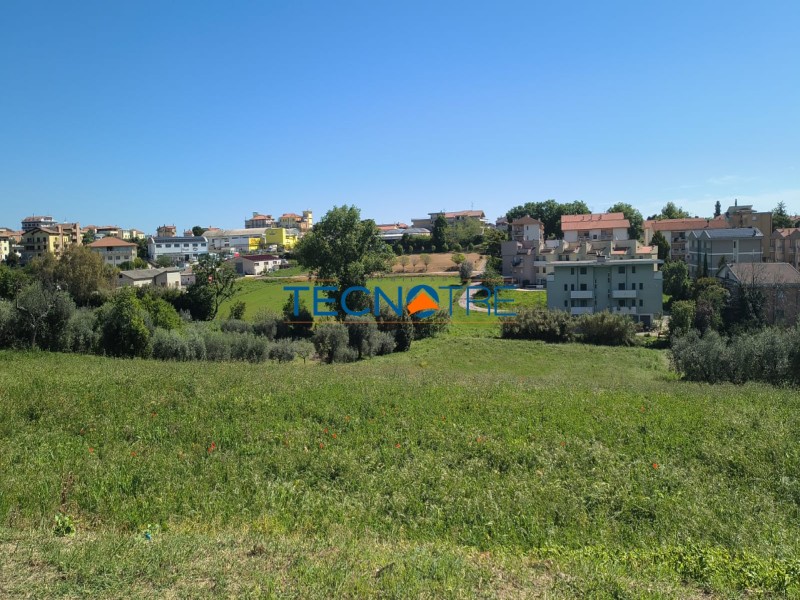 Dettaglio 42: Mosciano Sant’ Angelo Casa Singola