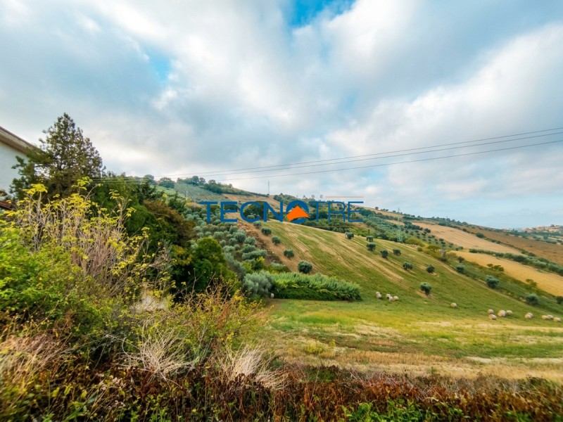 Dettaglio 27: Tortoreto Casa Singola con Annessi e Terreno Agricolo