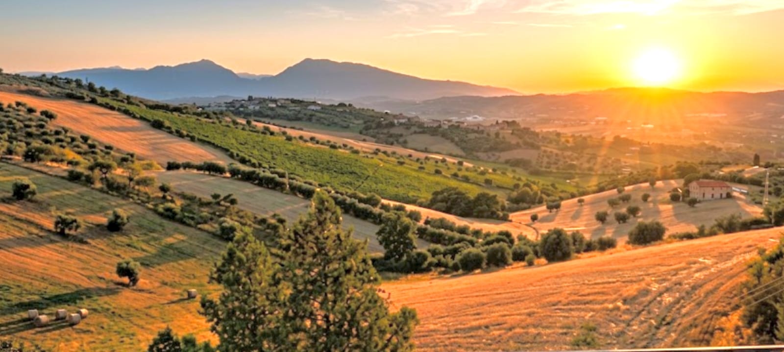 Dettaglio 50: Tortoreto Casa Singola con Annessi e Terreno Agricolo